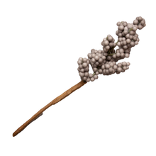 Load image into Gallery viewer, Pepperberry Stems 6pk - Grey
