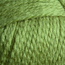 Load image into Gallery viewer, Windermere Wool Rich Aran 400g - Moss H430

