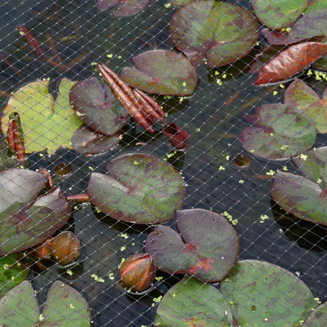 Smart Garden Black Pond & Fruit Cage Netting 2x10m