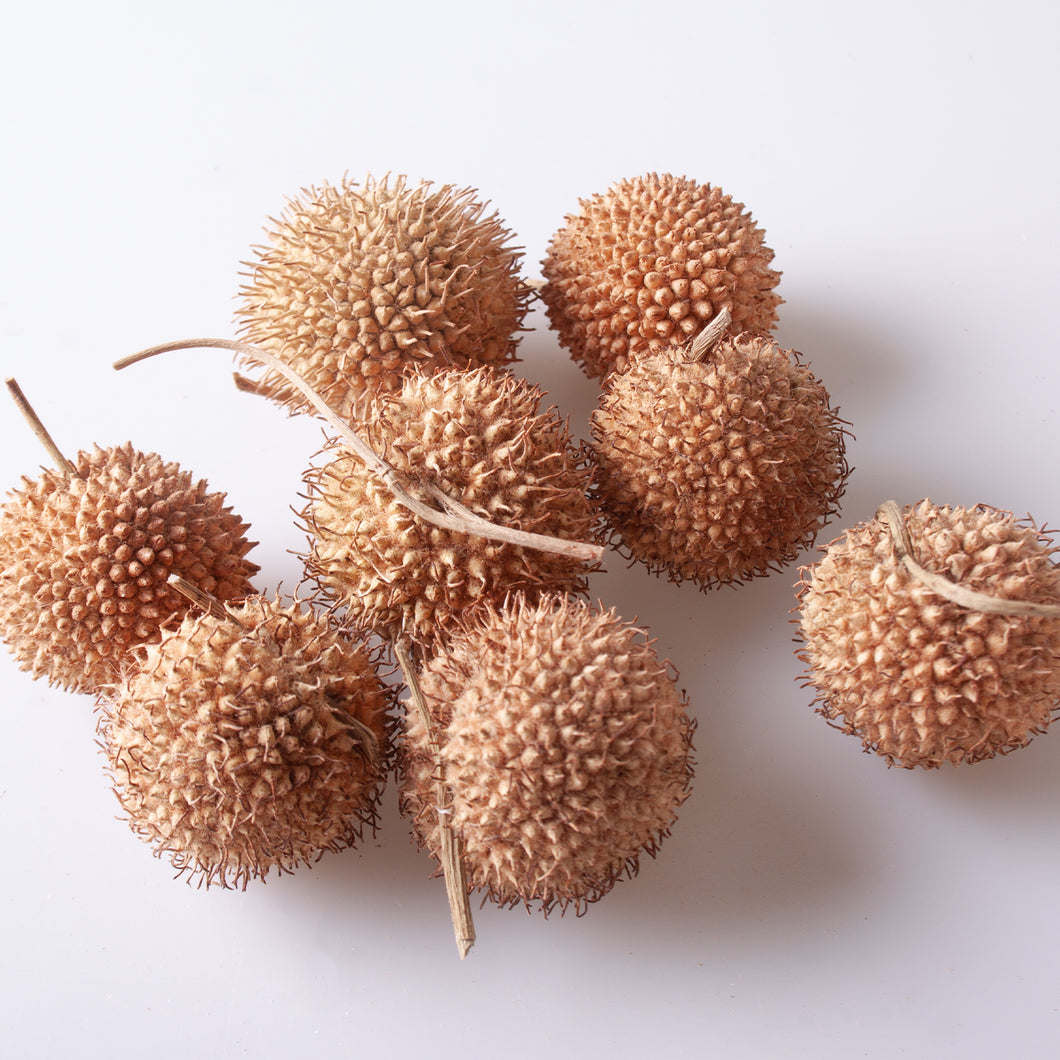 Natural Plain Seed Balls