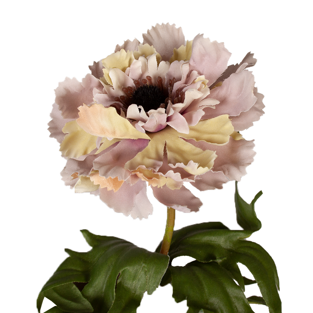 Single Anemone Stem 39cm - Lilac