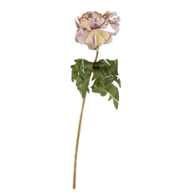 Load image into Gallery viewer, Single Anemone Stem 39cm - Lilac
