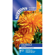 Load image into Gallery viewer, Calendula Seeds - Porcupine
