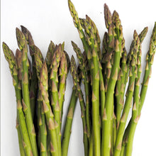 Load image into Gallery viewer, F1 Ariane Asparagus Seeds

