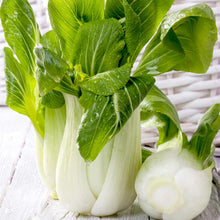Load image into Gallery viewer, F1 Hanakan Pak Choi Seeds
