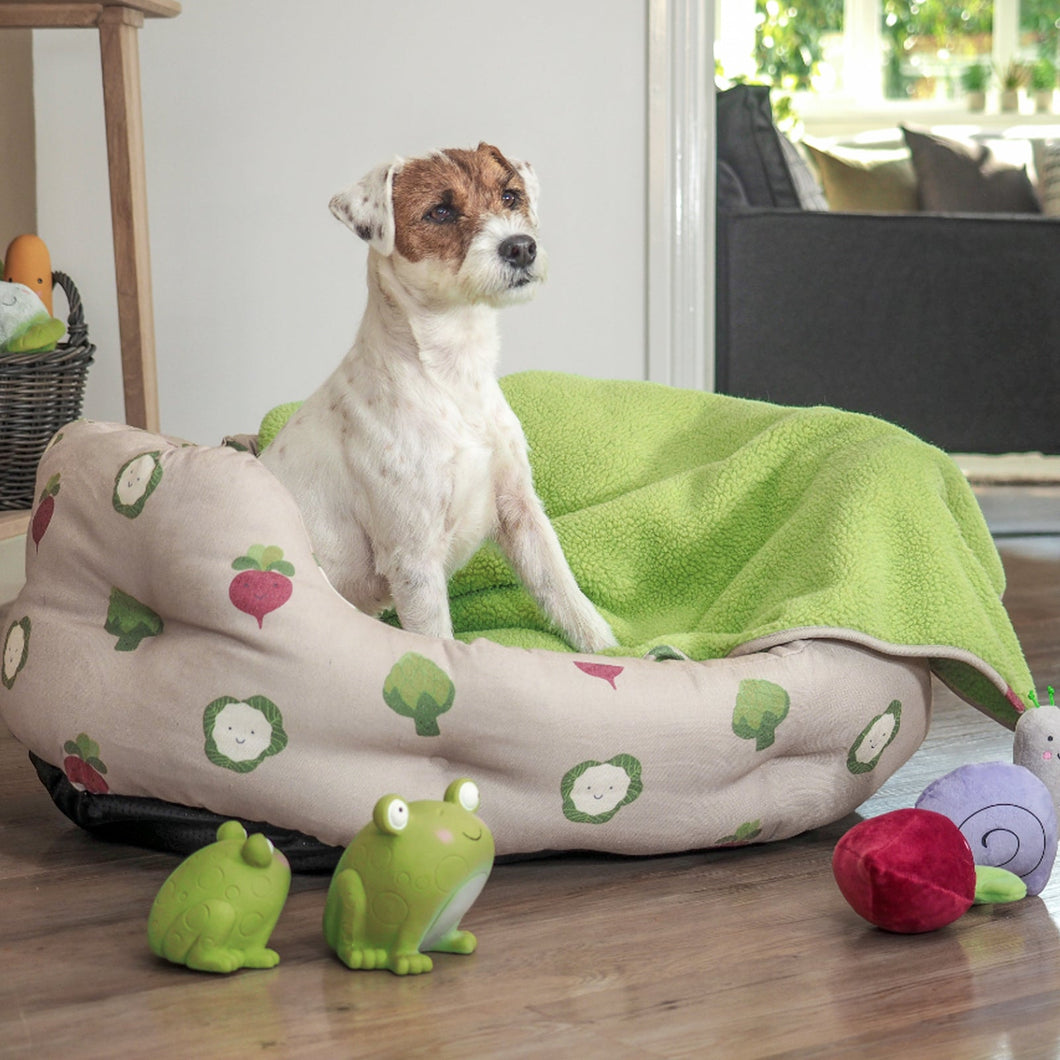 Zoon Large Oval Veggie Dog Bed