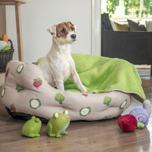 Load image into Gallery viewer, Zoon XL Oval Veggie Dog Bed
