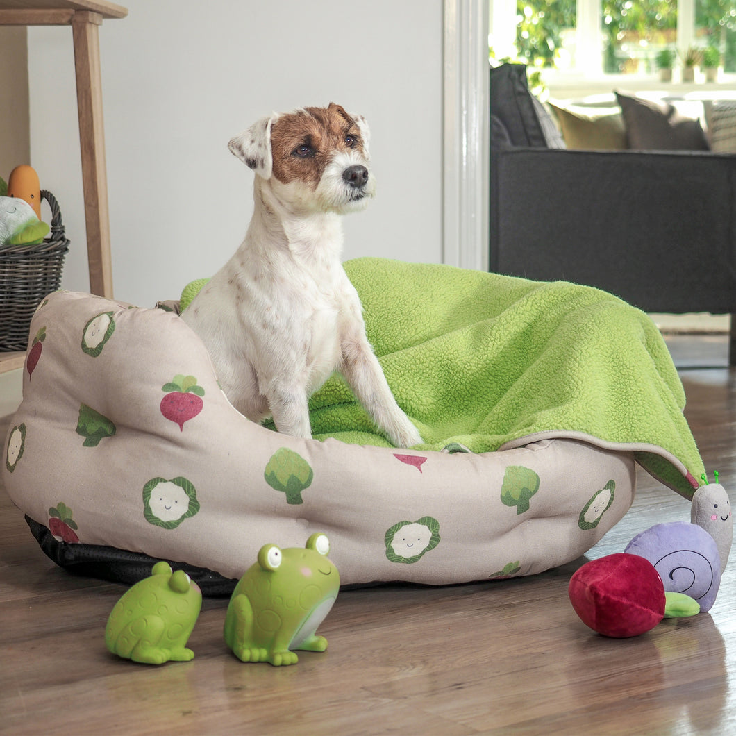 Zoon XL Oval Veggie Dog Bed