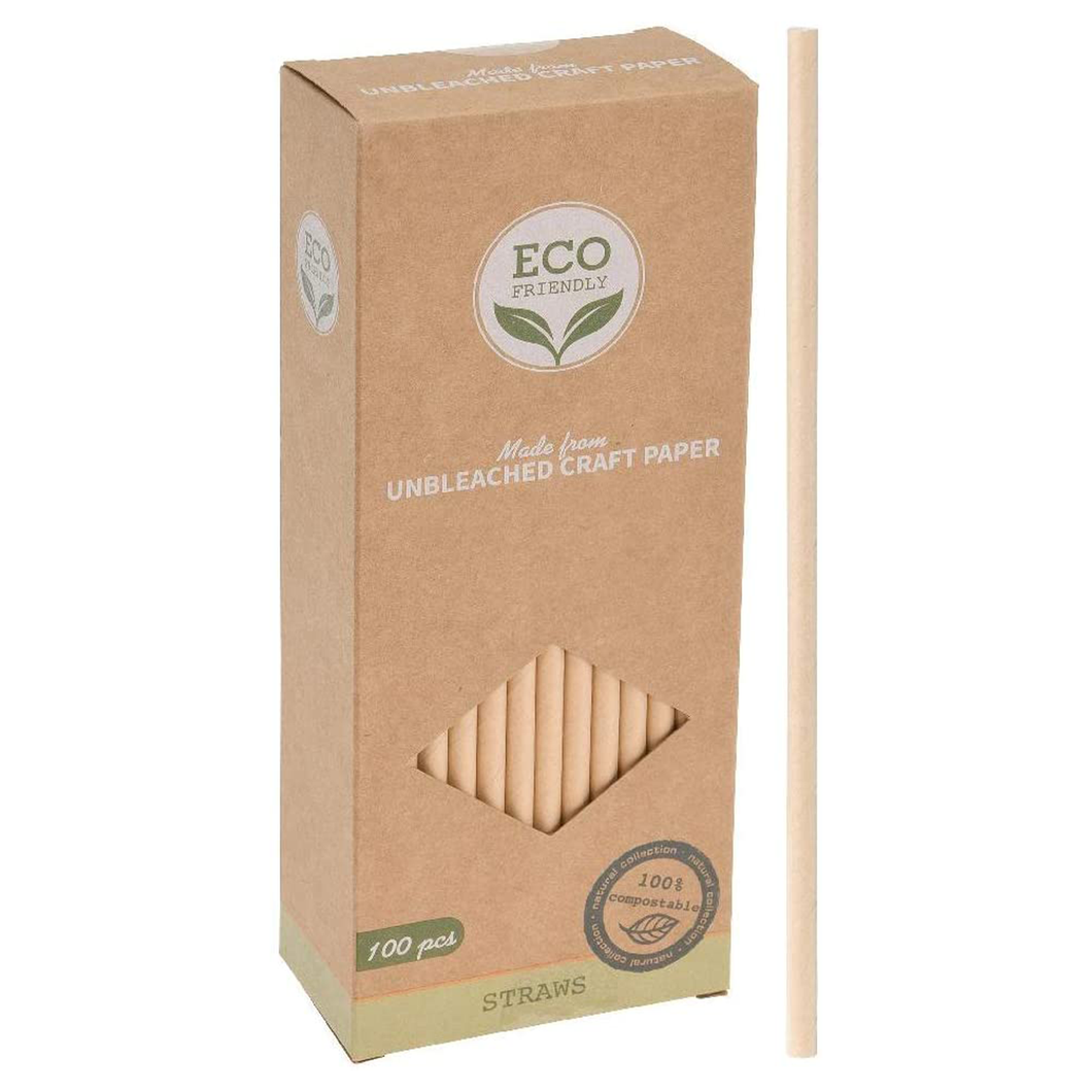 Eco Friendly Paper Straws 100pk