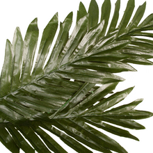 Load image into Gallery viewer, Cycas Leaf Spray Stem 71cm
