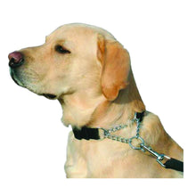 Load image into Gallery viewer, Kumfi Kombi Dog Collar

