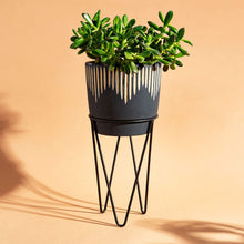 Load image into Gallery viewer, Sass &amp; Belle Black Sgrafitto Planter With Wire Stand
