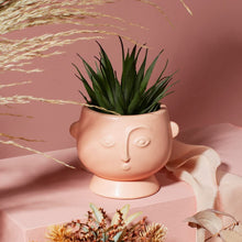 Load image into Gallery viewer, Sass &amp; Belle Matt Pink Small Face Planter
