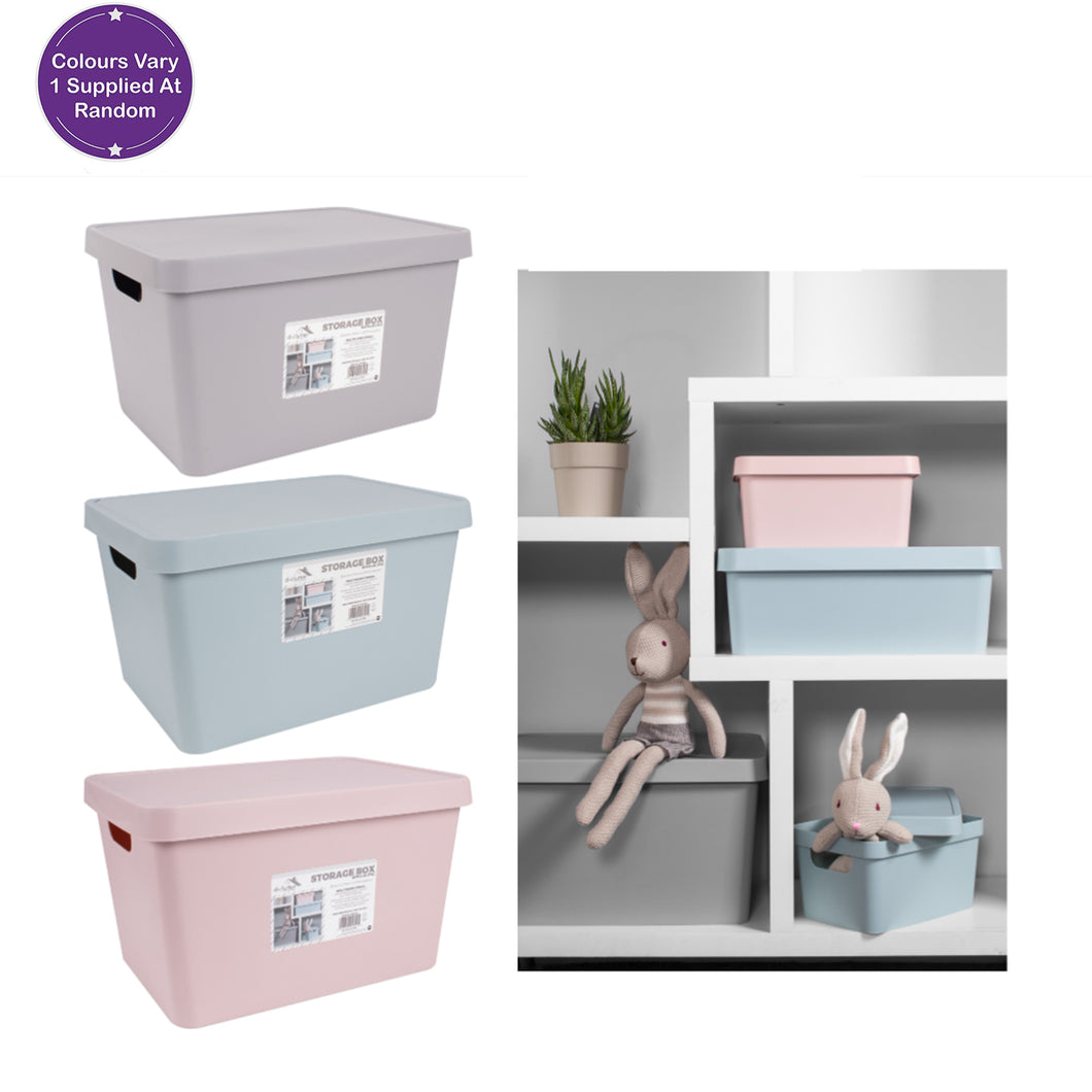 D-Clutter Assorted Storage Box With Lid 17L