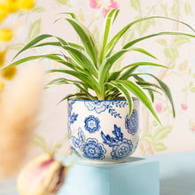 Load image into Gallery viewer, Sass &amp; Belle Blue Willow Mini Planter
