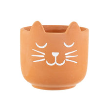 Load image into Gallery viewer, Sass &amp; Belle Mini Cat&#39;s Whiskers Terracotta Planter
