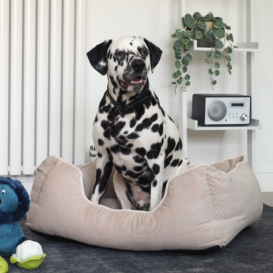 Zoon Tuffearth Recycled Stone Chenille Square Dog Bed