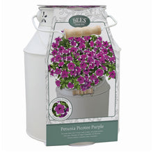 Load image into Gallery viewer, Bees Petunia Picotee Purple Complete Grow Set
