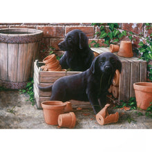 Load image into Gallery viewer, Otter House Bill &amp; Ben Garden Puppies Jigsaw 500pcs
