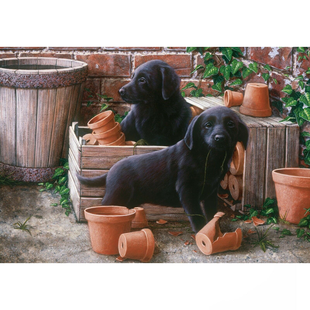 Otter House Bill & Ben Garden Puppies Jigsaw 500pcs