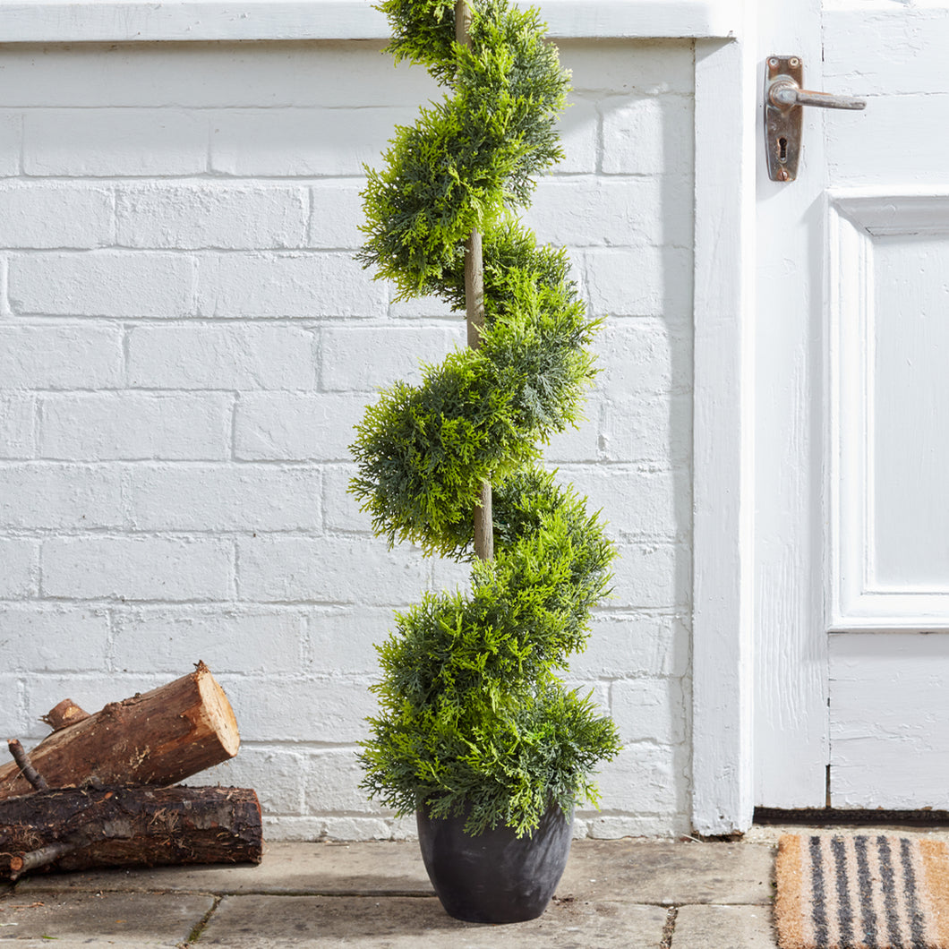 Smart Garden Cypress Topiary Twirl 120cm