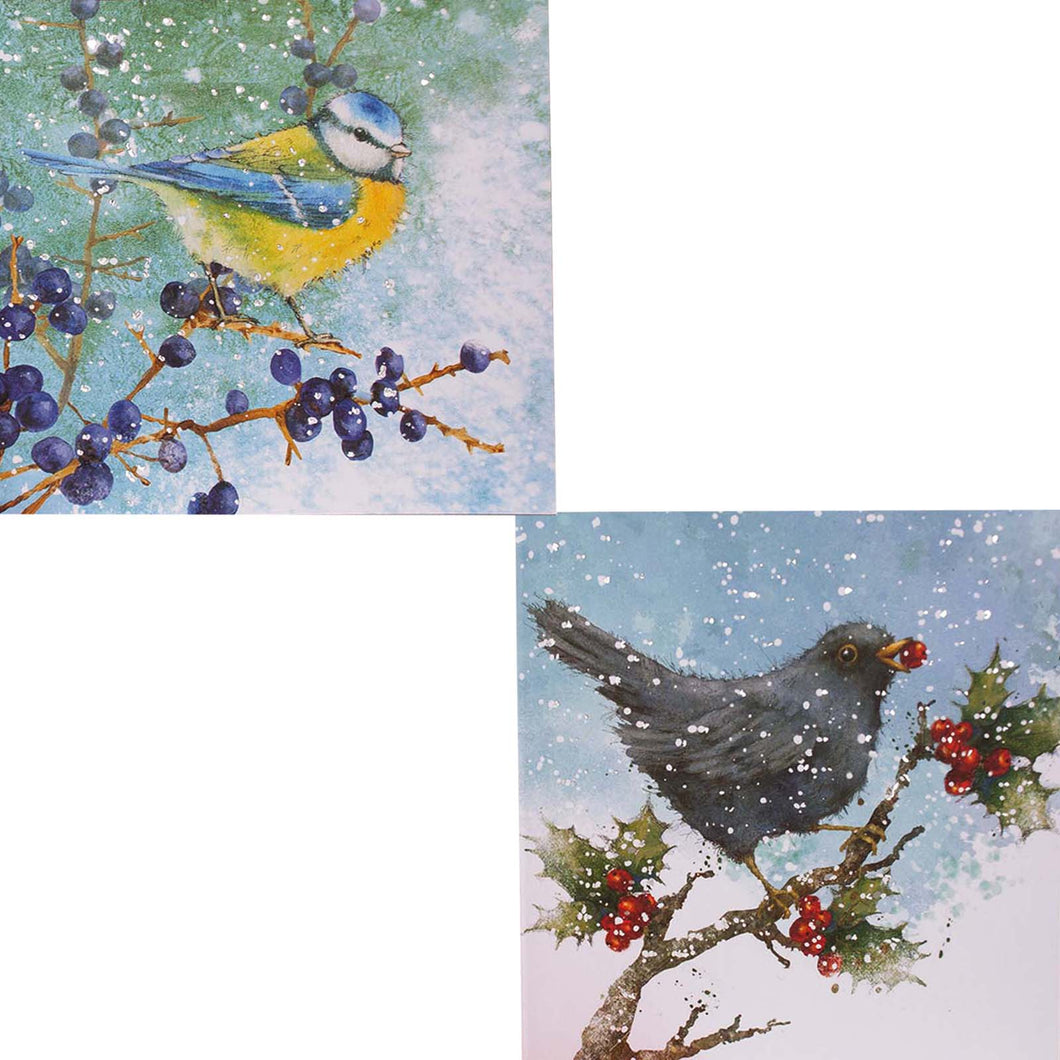 RSPB Luxury Berries And Birds Christmas Cards 10 Pack