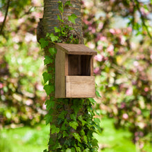 Load image into Gallery viewer, Classic Robin Nesting Box