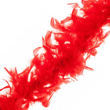 Load image into Gallery viewer, Feather Boa Decoration 60&quot;