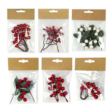Load image into Gallery viewer, Berry Stem Pick Assorted
