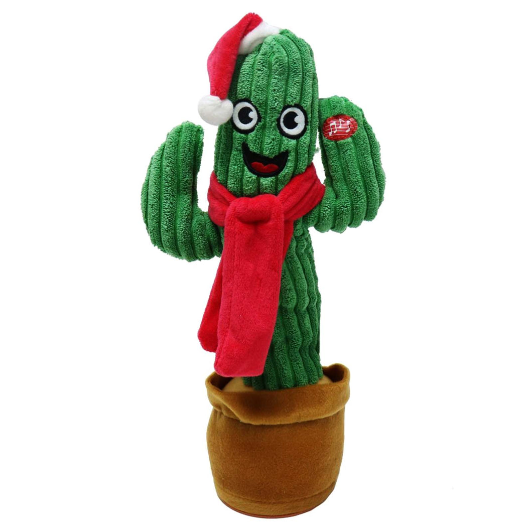 Spanish singing and dancing Christmas cactus