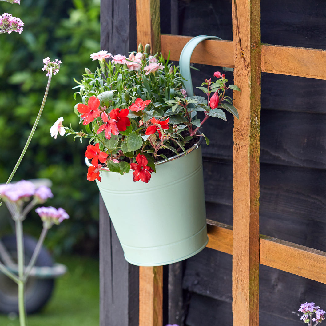 Smart Garden 6'' Sage Fence & Balcony Hanging Pot