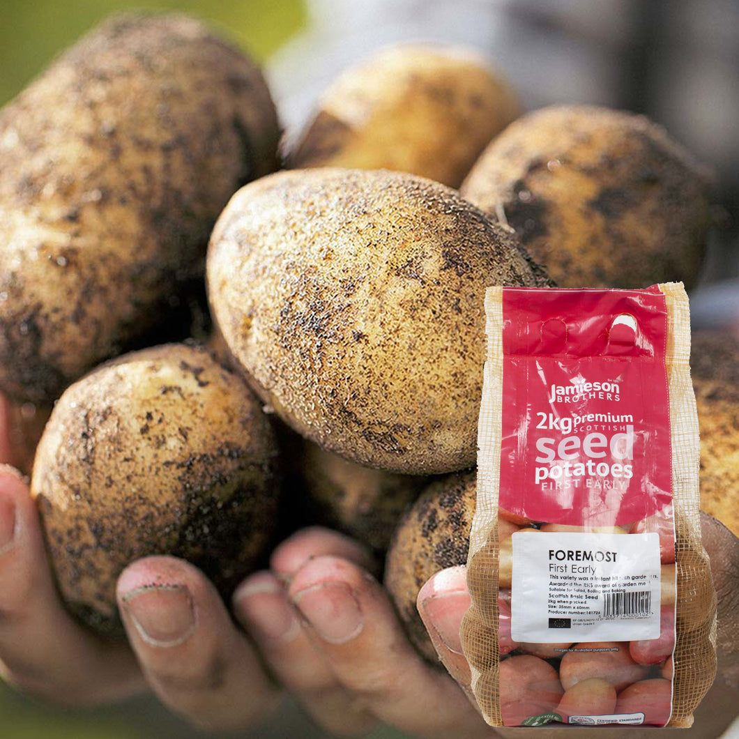 JBA Seed Potatoes First Early 2kg