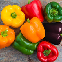 Load image into Gallery viewer, Garden Treasures Sweet Pepper Mixed Seeds
