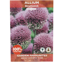 Load image into Gallery viewer, Allium Garden Bulbs