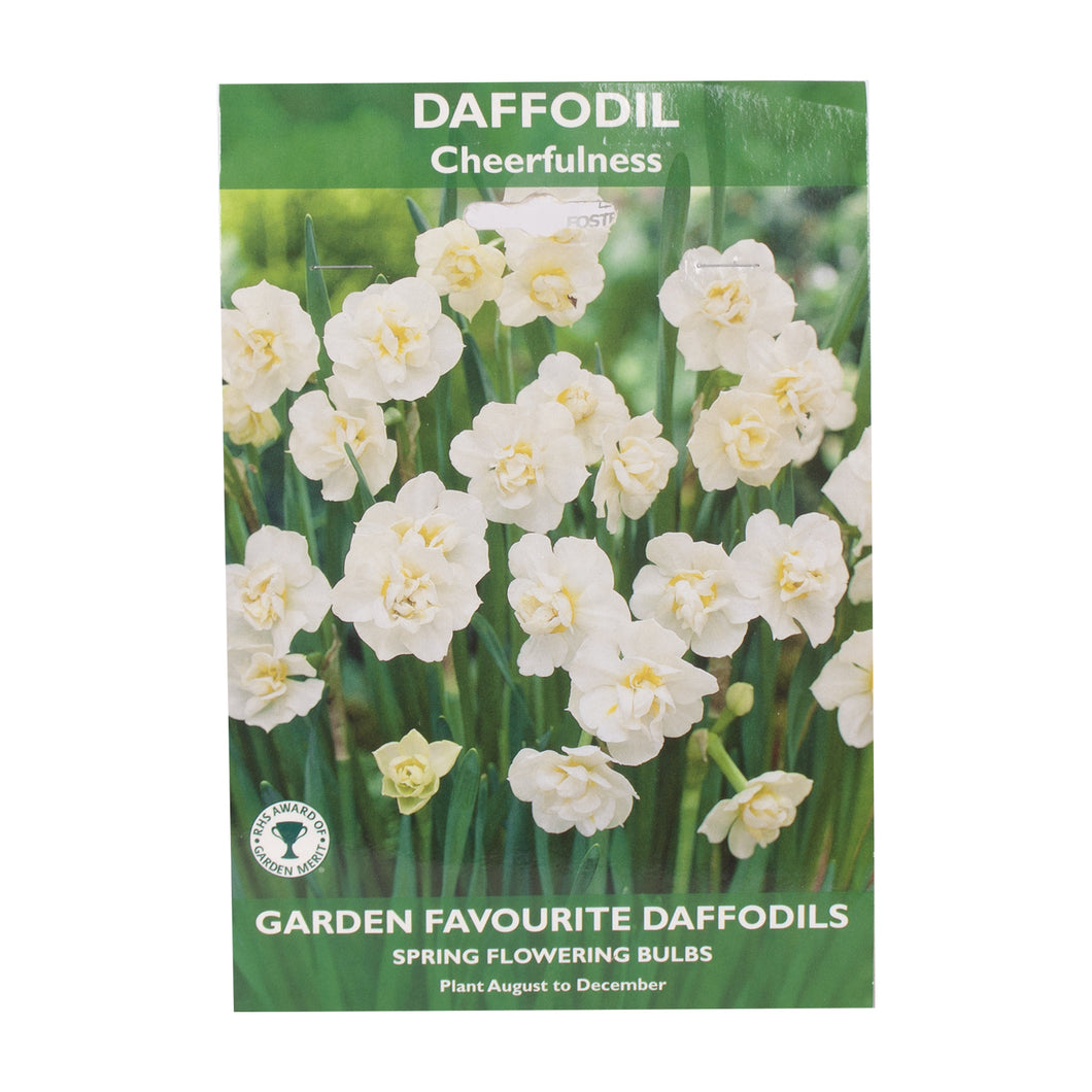 Garden Favourite Daffodil Bulbs