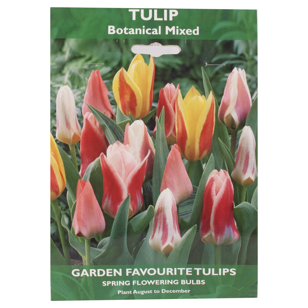 Garden Favourite Tulip Bulbs