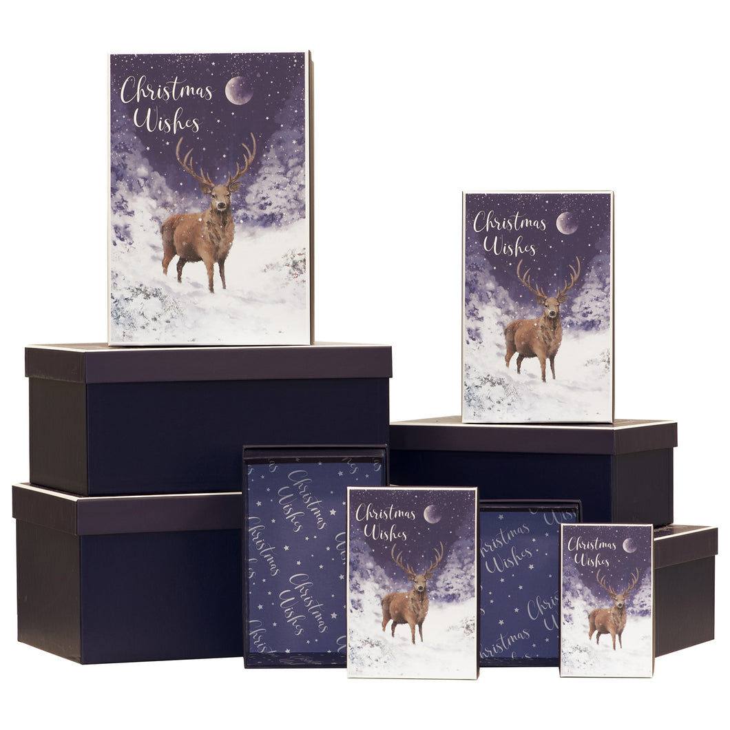Christmas Forest Prince Gift Box