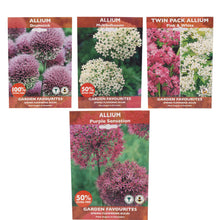 Load image into Gallery viewer, Allium Garden Bulbs