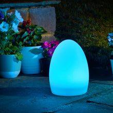 Load image into Gallery viewer, Smart Garden Lunieres Oval X Large

