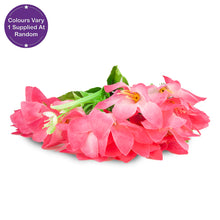 Load image into Gallery viewer, Faux Lilly Flower Bunch Assorted 38cm
