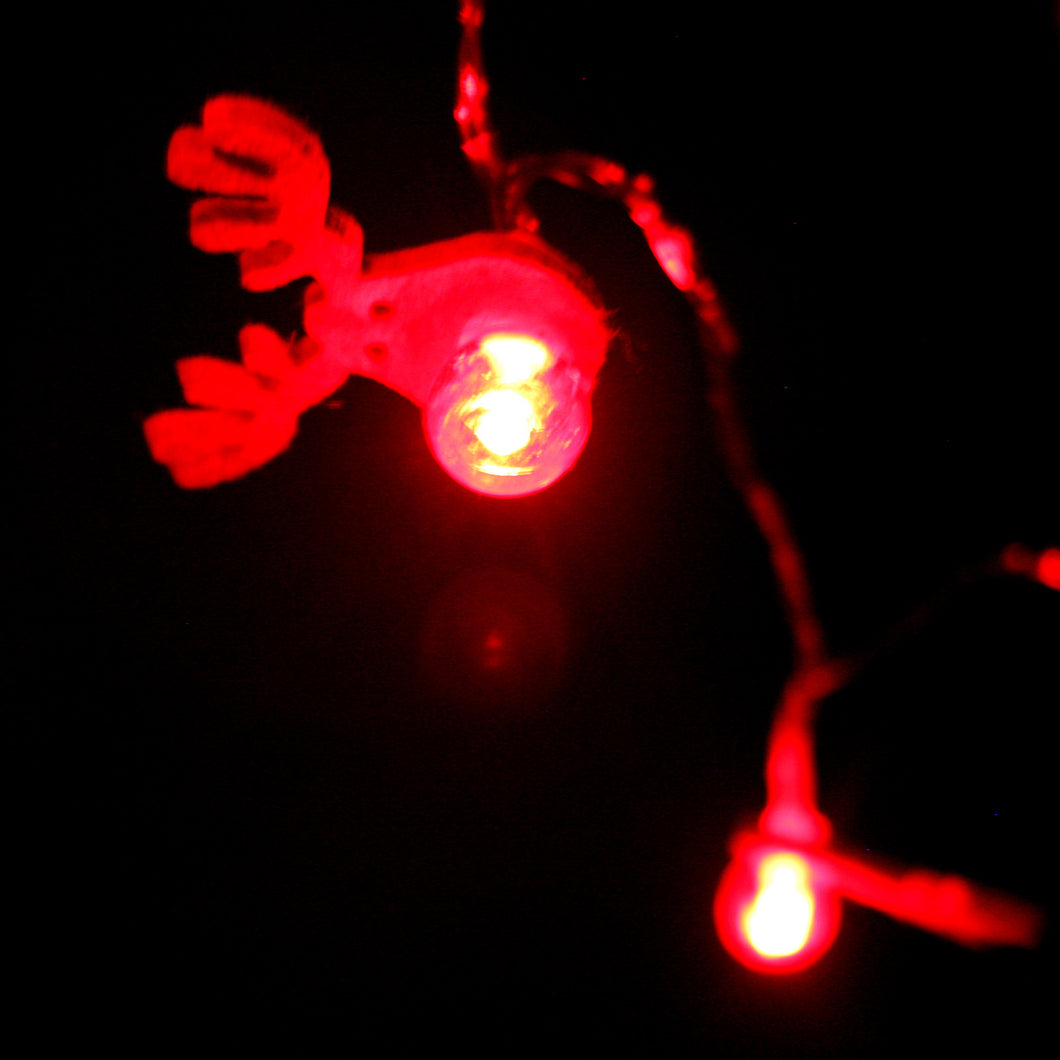 Festive Magic 15 LED Rudolph Lights