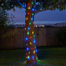 Load image into Gallery viewer, Smart Solar 100 Firefly String Lights

