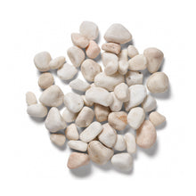 Load image into Gallery viewer, Kelkay Premium Coral White Pebbles 20-40mm
