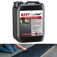 Load image into Gallery viewer, Azpect EASY Revive + Sealer &amp; Colour Restorer 5L
