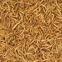 Load image into Gallery viewer, Johnston &amp; Jeff Dried Mealworms
