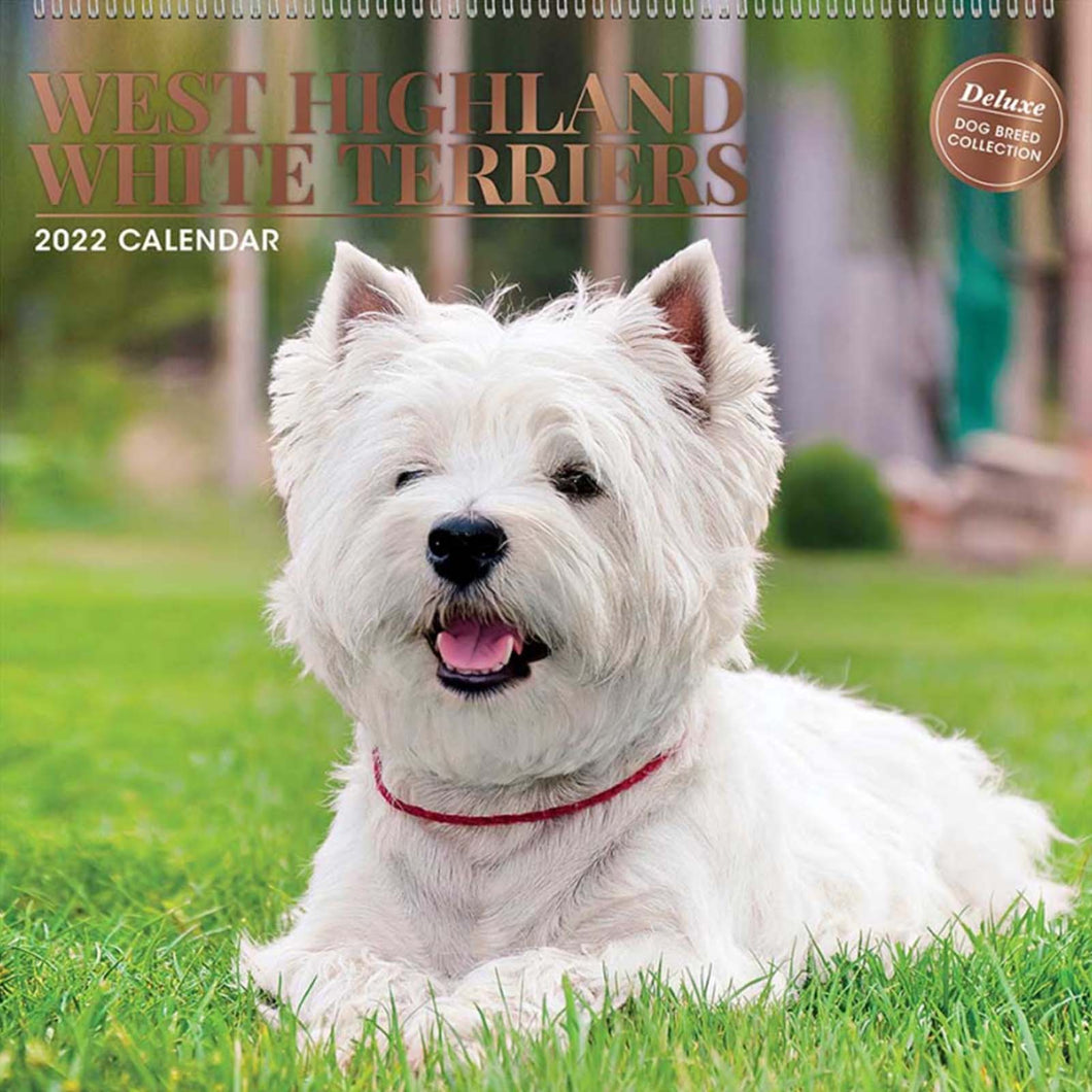 West Highland Terrier 2022 Calendar