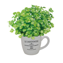 Load image into Gallery viewer, Bees Le Jardinier Parsley Herb Grow Set
