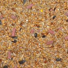 Load image into Gallery viewer, Dawn Chorus Original Wild Bird Seed Mix 12.6kg
