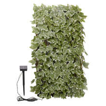 Load image into Gallery viewer, Smart Solar In-Lit Ivy Trellis 180 x 60cm
