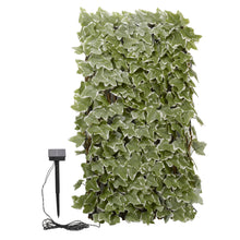 Load image into Gallery viewer, Smart Solar In-Lit Ivy Trellis 180cm x 90cm
